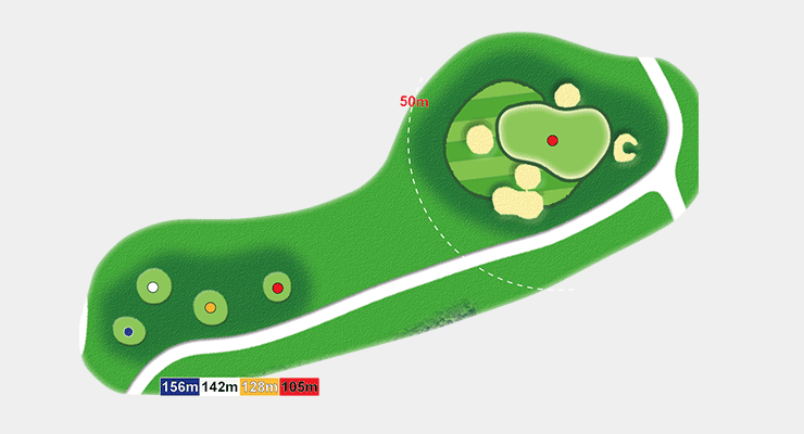 WILD COURSE HOLE7