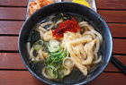 Udon