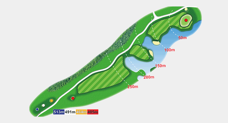 WILD COURSE HOLE8